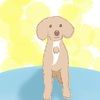 tracy_han